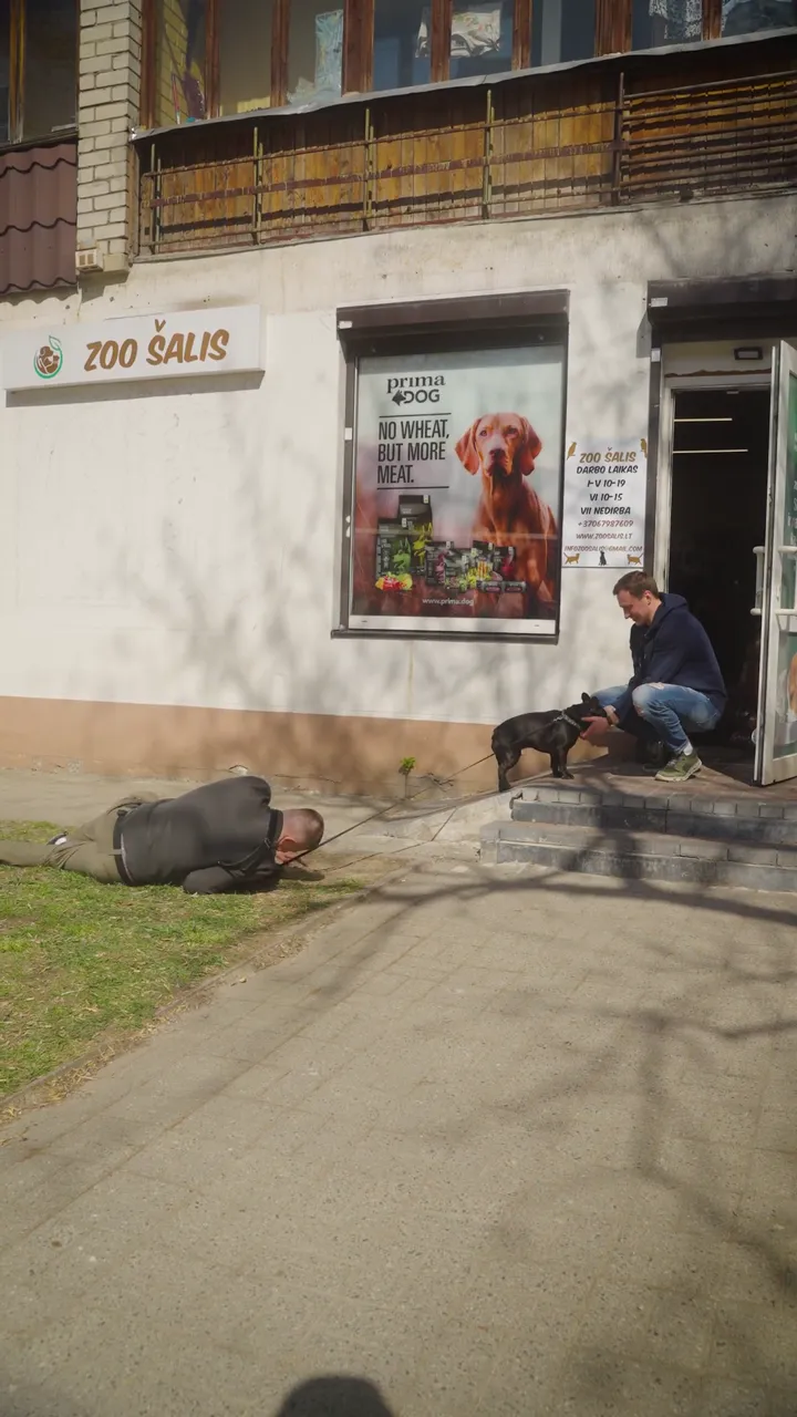 Kadras iš gyvūnų prekių reels formato reklamos video